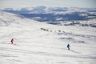 Denmark in winter: urban turns, pop-up powder, and pure hygge