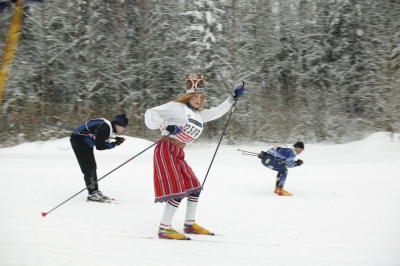 Estonia in winter: quiet forests, compact hills, and Nordic soul