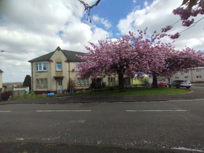 Kerr Apartment - Spacious 4-Bed Flat in Hamilton