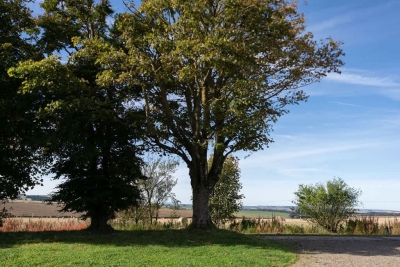 Easter Cottage  4-Bed in Turriff Aberdeenshire