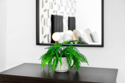 Modern 2 Bedroom Apartment - WiFi - Smart TV
