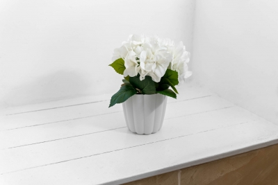 Stylish 3 Bedroom House - Garden - Parking