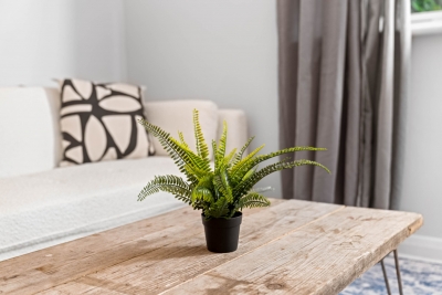 Elegant 2 Bedroom Apartment - Parking - Garden - Netflix