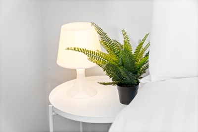 Elegant 2 Bedroom Apartment - Parking - Garden - Netflix