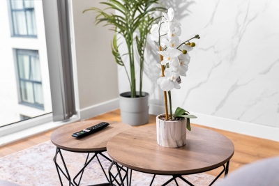 Stylish Apartment - 3 Guests - Netflix - Jewellery Quarter
