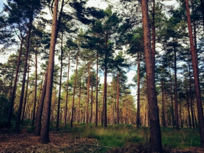 Bracknell Apartment | Parking | Near Ascot & Station