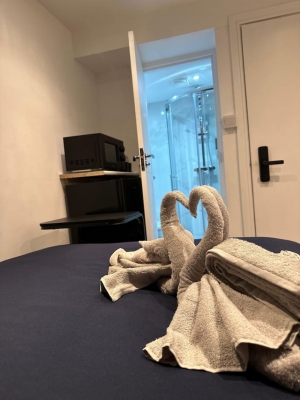 Central London Zone1 Room+Bath