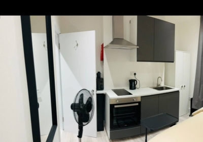 Studio w/ private kitchen & bath