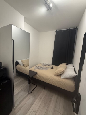 Modern room in Balham