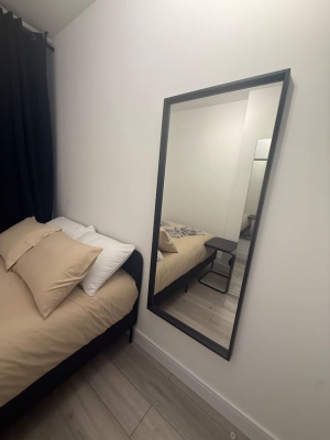 Modern room in Balham