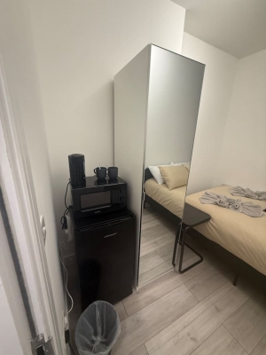 Modern room in Balham