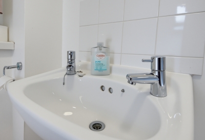 Llandysul: Pet-Friendly West Wales Basecamp