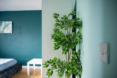 Mega Flat Near City Centre